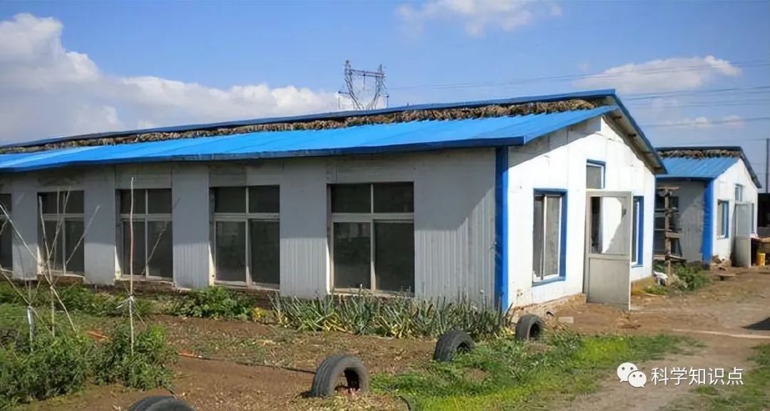 彩钢瓦房有什么致命缺点？以至于它只能落得被强行拆除(图7)