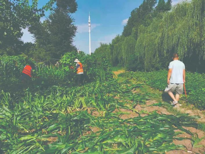 长春市开通网上监督平台市民反映楼下私搭彩钢房(图2)