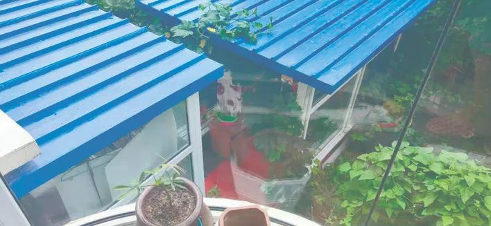 长春市开通网上监督平台市民反映楼下私搭彩钢房(图3)