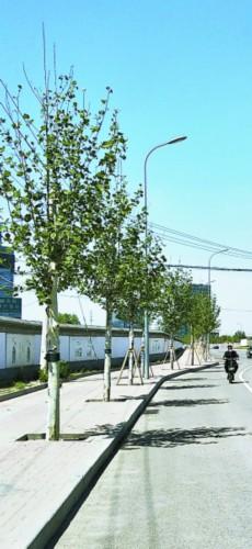 朝阳制作彩钢房 老人收发邮件不便邮政部门已设居委会指定专人投递(图2)