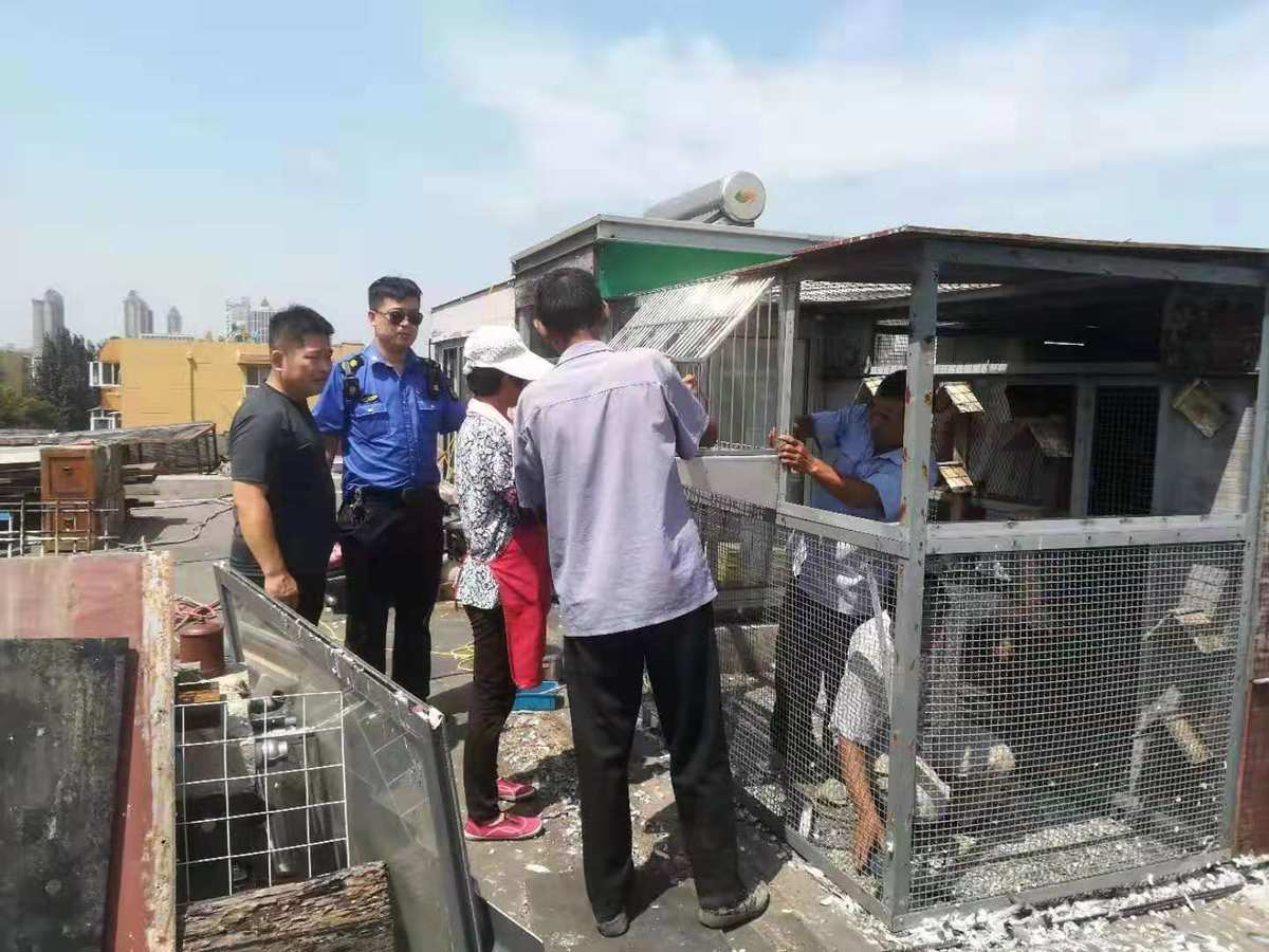 朝阳制作彩钢房 老人收发邮件不便邮政部门已设居委会指定专人投递(图4)