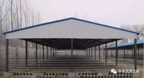 靠墙型羊舍建设示意图，你值得拥有！！(图3)