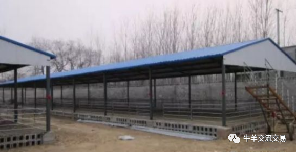 靠墙型羊舍建设示意图，你值得拥有！！(图4)