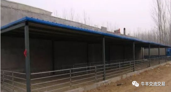 靠墙型羊舍建设示意图，你值得拥有！！(图5)