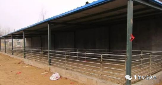 靠墙型羊舍建设示意图，你值得拥有！！(图6)