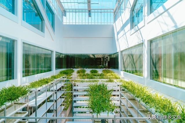 农民朋友家里有这5类房子，由村干部带头拆除(图7)