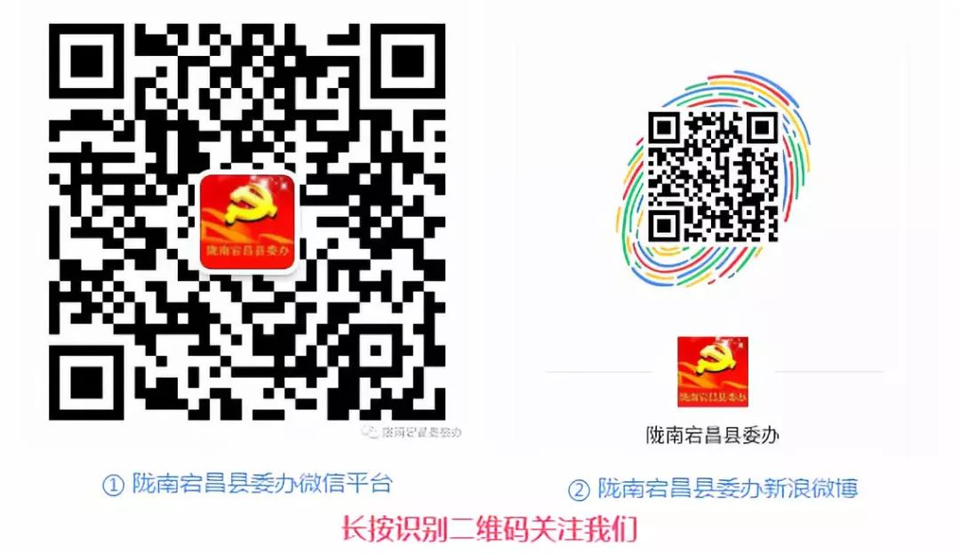 宕昌县彩钢板房专项整治行动实施方案要求县委办公室部署(图8)