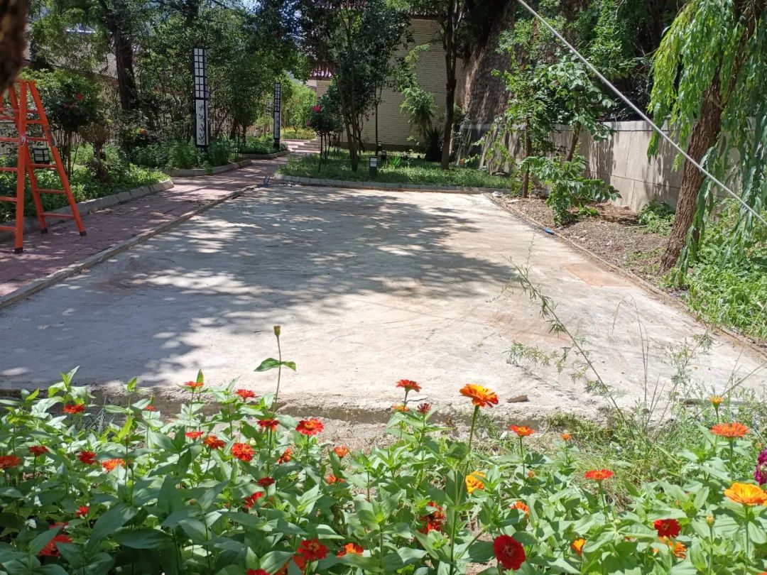 宕昌县彩钢板房专项整治行动实施方案要求县委办公室部署(图3)