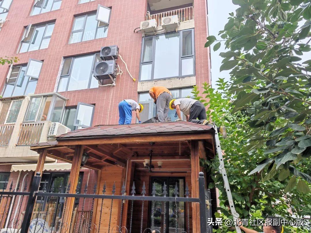 居民侵占绿地扩展个人生活区域“拆除时要注意周围居民的安全”(图1)