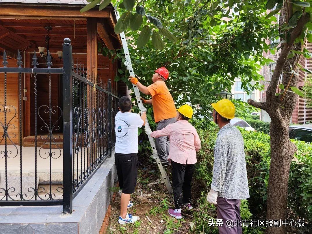 居民侵占绿地扩展个人生活区域“拆除时要注意周围居民的安全”(图3)