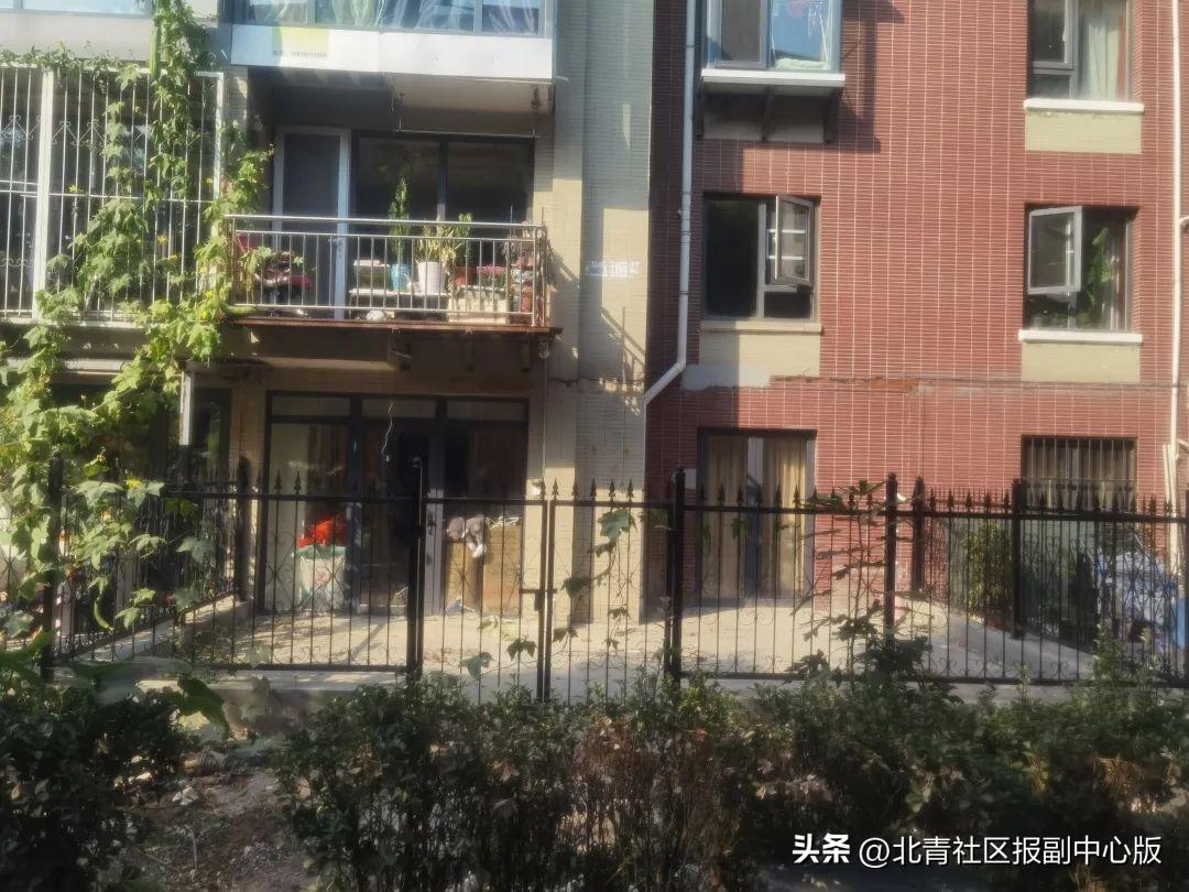 居民侵占绿地扩展个人生活区域“拆除时要注意周围居民的安全”(图6)