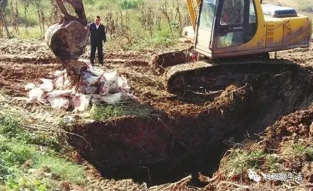 农村2拆的实施对农村城市化进程带来深远影响(图3)