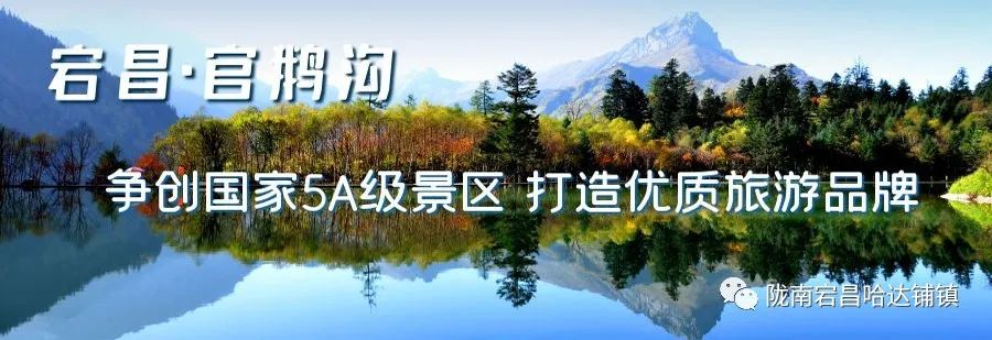 “拆除彩钢房平安每一天”倡议书(图1)