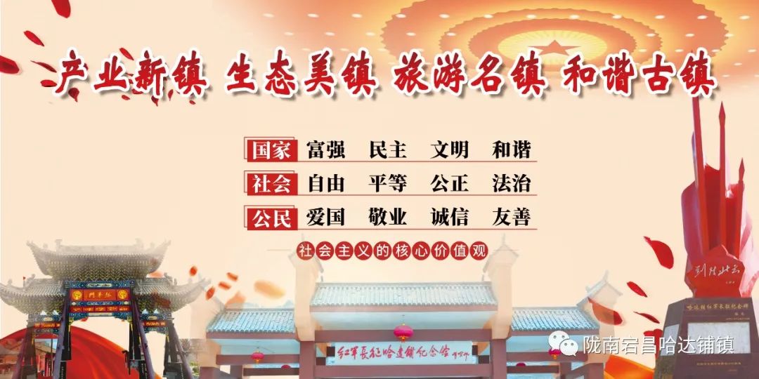 “拆除彩钢房平安每一天”倡议书(图3)