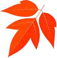 内墙隔断海容模块轻钢简易房施工演示视频选择(图15)