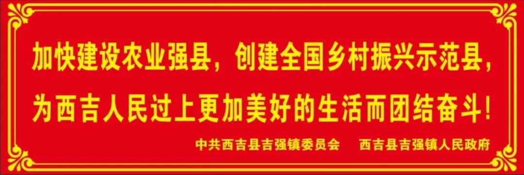 吉强镇关于全镇彩钢板房专项整治工作的倡议书(图3)