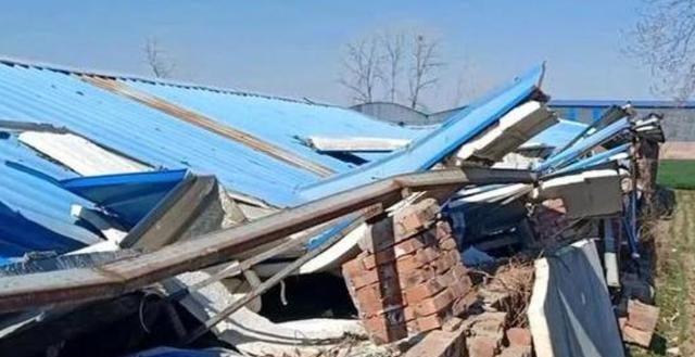 拆除农村彩钢瓦屋顶，为什么？是否会损害农民利益？(图9)