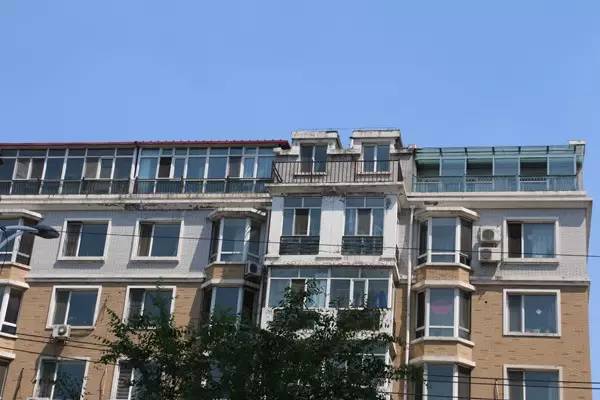 哈市一小区楼顶私建100㎡大棚居民担心地说(图6)