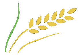 诚聘英才！江门市农业控股集团有限公司市场化选聘高级管理人员(图3)