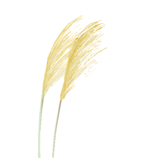 诚聘英才！江门市农业控股集团有限公司市场化选聘高级管理人员(图18)